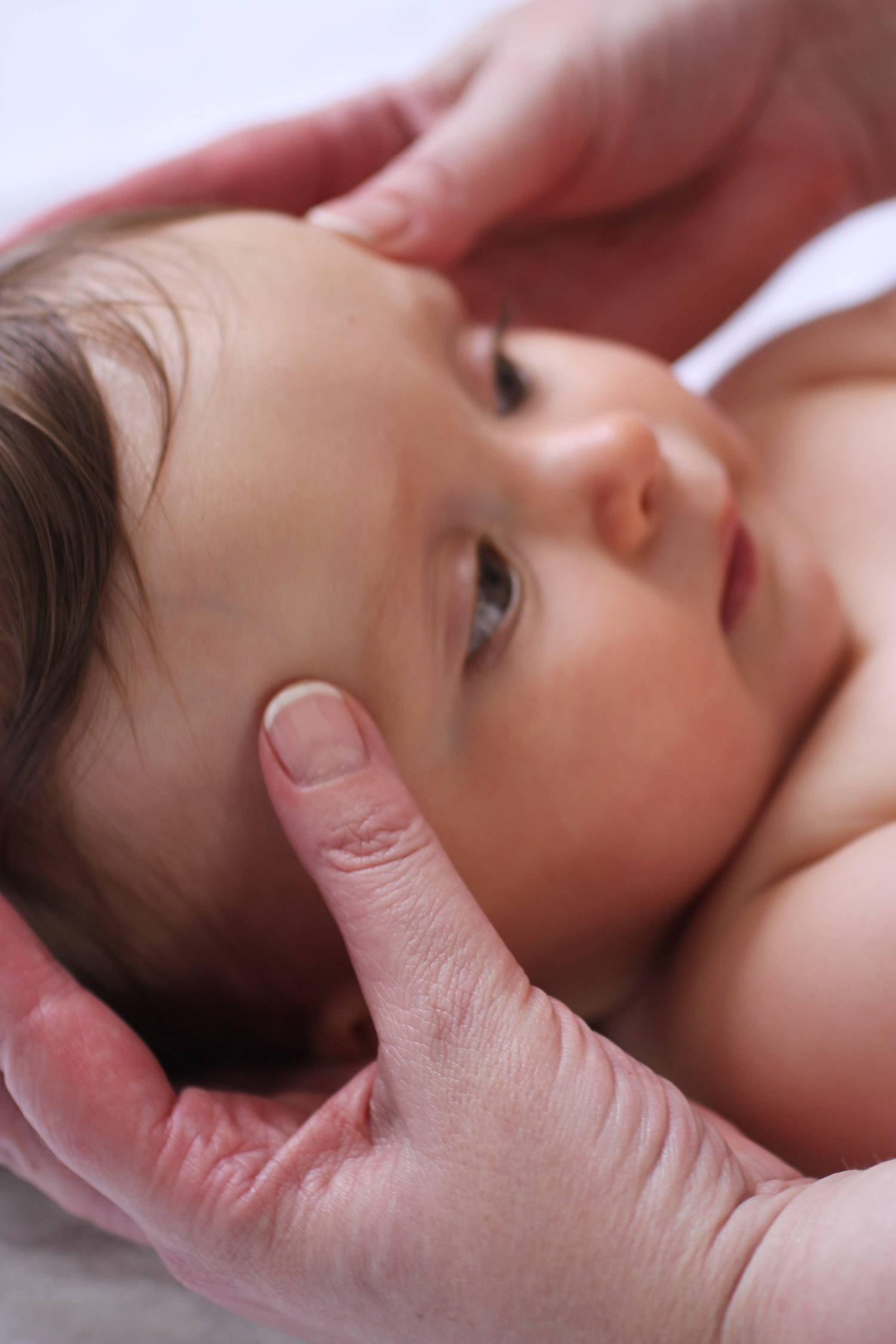 Photography and art direction - ebook - Sunshine Coast graphic designer